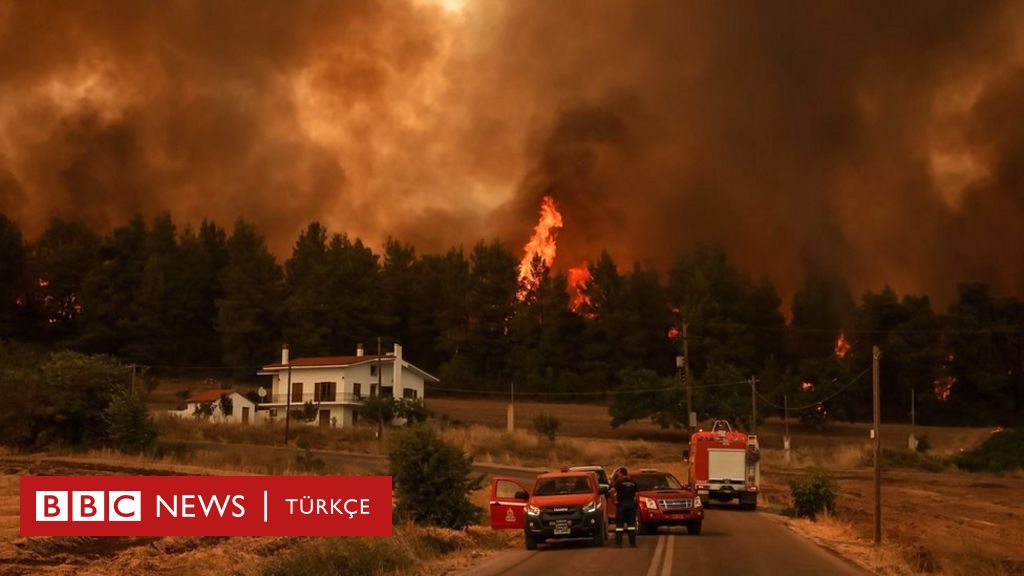 Δασικές πυρκαγιές στην Ελλάδα: Εκατοντάδες εκκενώθηκαν από την Εύβοια