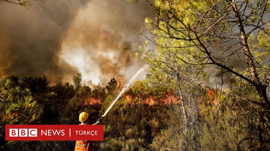 orman yangınları hangi iddialar ortaya atıldı yetkililer ne yanıt