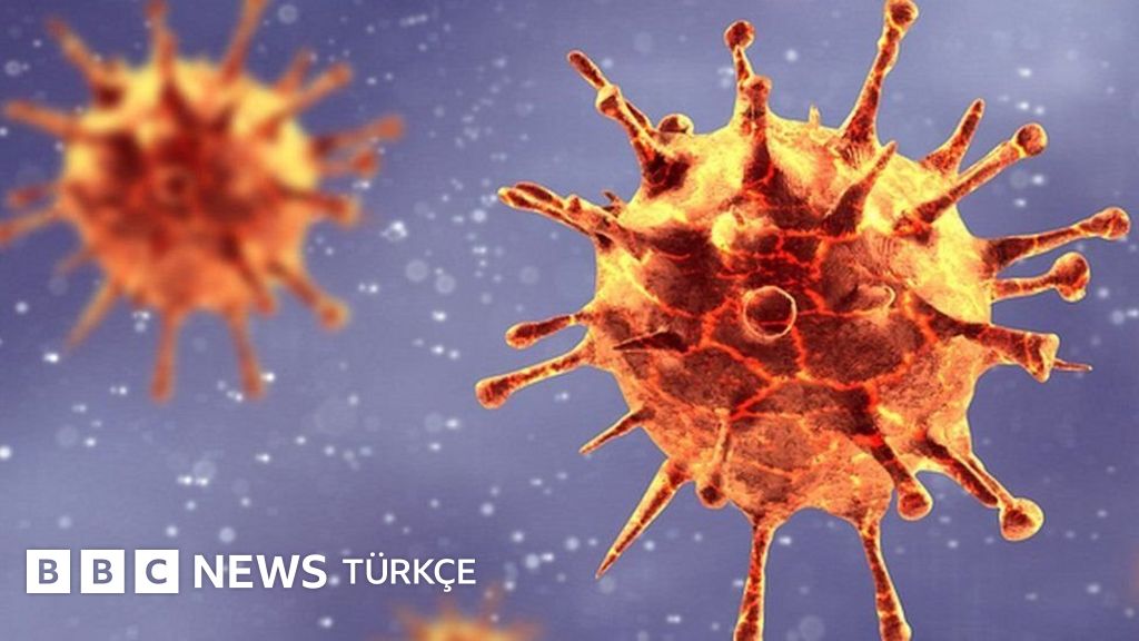 Covid Delta Plus varyantı İngiltere'de son dönemde yakından izleniyor BBC News Türkçe