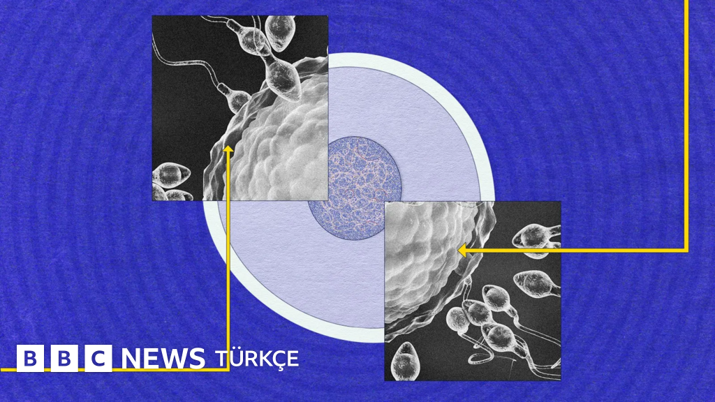 Sperm neden hâlâ bu kadar gizemli?