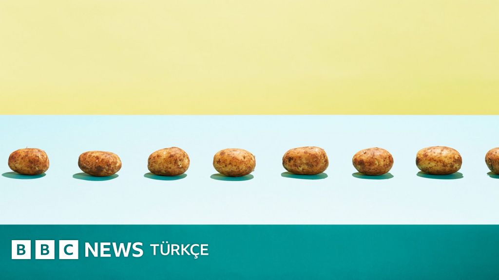 Sağlıklı beslenme için en iyi ve uygun fiyatlı günlük gıdalar