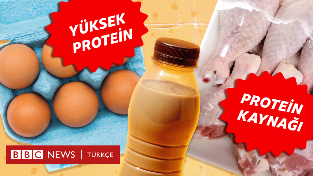 Yüksek proteinli gıdalar gerçekten faydalı mı?