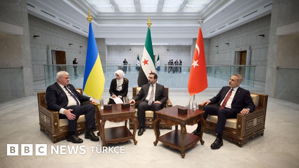 Türkiye, Suriye ve Ukrayna neden ortak mekanizma kurdu, üç ülkenin öncelikleri neler?