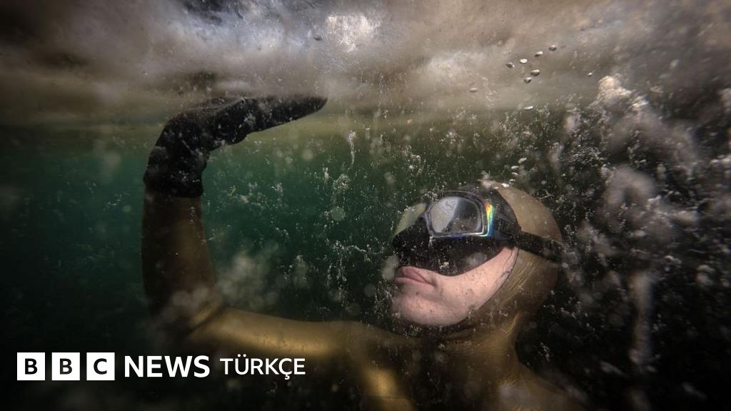 Müsilaj Marmara Denizi'ne geri mi döndü, diğer denizlerde durum ne?