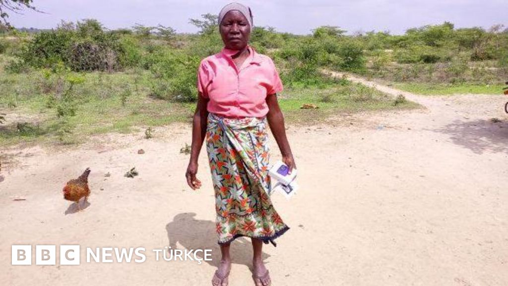 Belli yaşın üzerindeki herkese aylık para verilmesinin sonuçları ne olabilir?