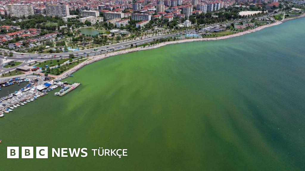 Okyanuslar neden renk değiştiriyor?