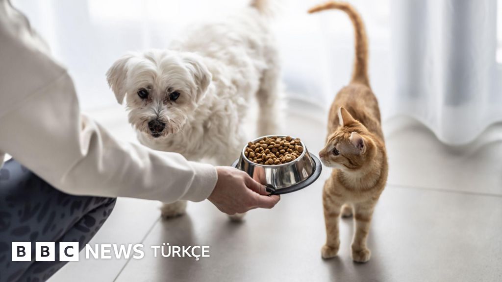 Bosch Türkiye'nin Anneler Günü reklamı neden tartışma yarattı?