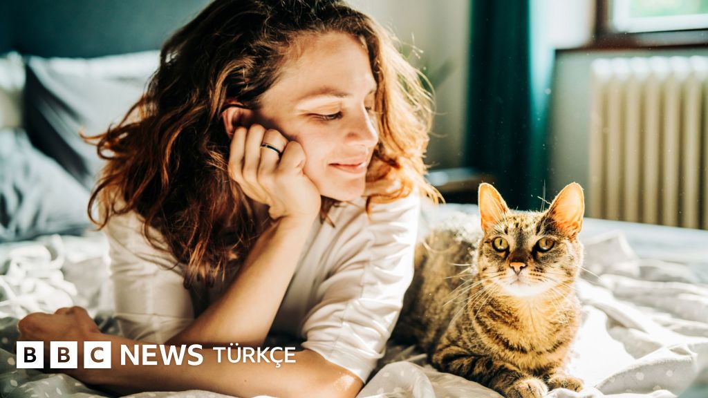 Kediler, insanlarda kanser tedavisi için yeni ipuçları sunabilir