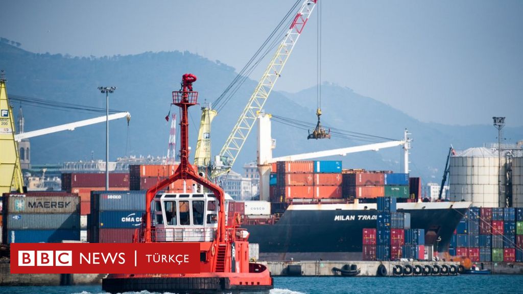 Stampa italiana: È stata aperta un'indagine contro il capitano della nave che avrebbe trasportato veicoli militari dalla Turchia alla Libia
