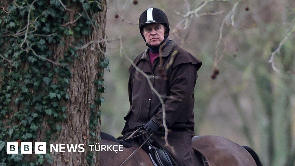 Andrew'un gözaltına alınması: Eski prens nasıl gözden düştü?