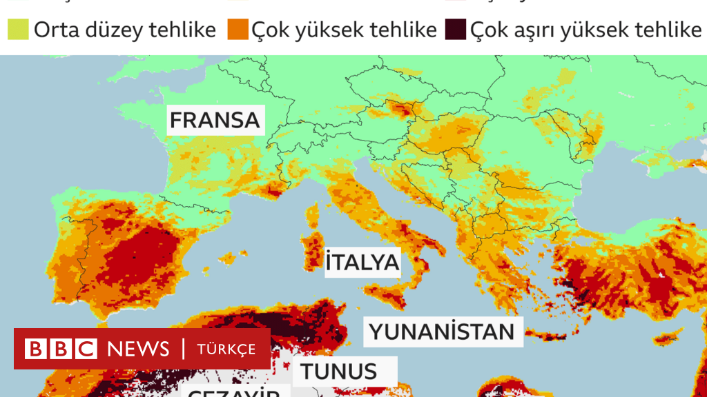 Δασικές πυρκαγιές: οι φλόγες σκοτώνουν περισσότερους από 40 ανθρώπους σε μεσογειακές χώρες