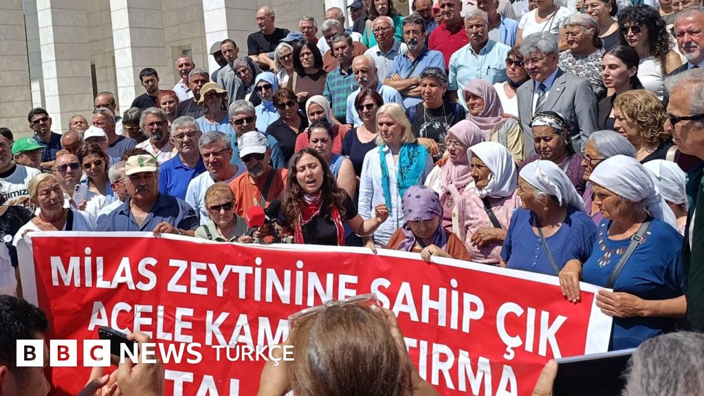 Akbelen protestoları: Esra Işık'ın duruşması 6 Temmuz'a ertelendi - BBC News Türkçe