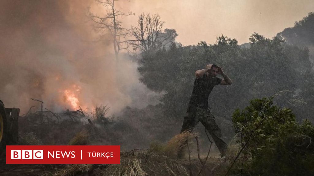 Δασικές πυρκαγιές: Νέες πυρκαγιές στην Ελλάδα, ξεκινούν οι εκκενώσεις