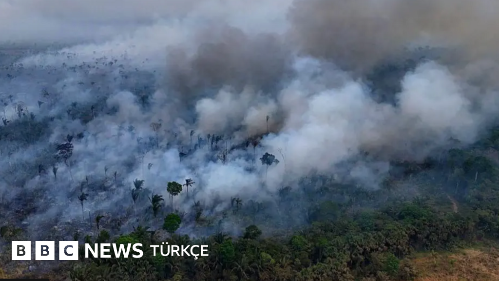Geçen yıl her dakika 18 futbol sahası büyüklüğünde orman yok oldu