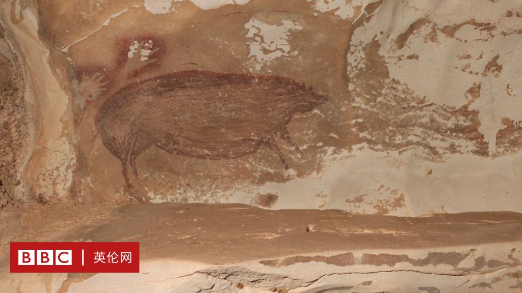 印尼发现4万年前野猪画盘点十件史前洞穴艺术品- BBC 英伦网