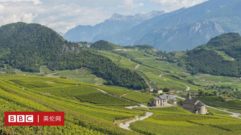 долина роны. долина роны франция виноградники. долина рона. долина роны франция. долина реки рона.