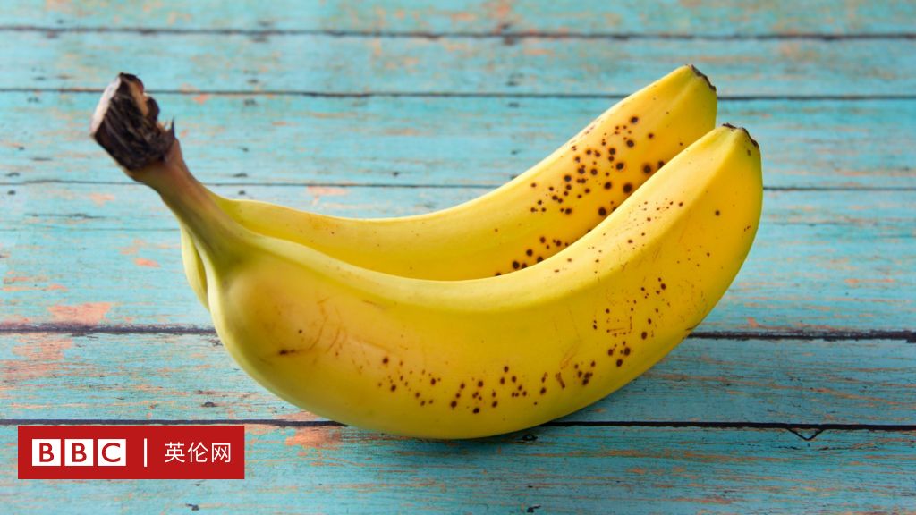 香蕉枯萎病 一場堪比新冠疫情的農業災難 c 英伦网