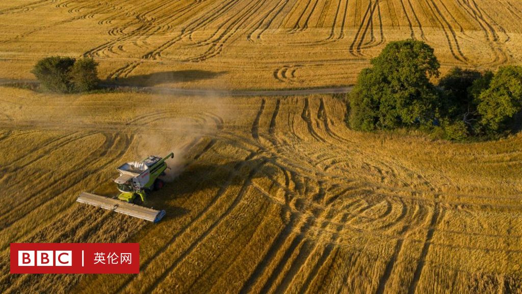 人口暴增：2050年养活100亿人口的五种方法- BBC 英伦网