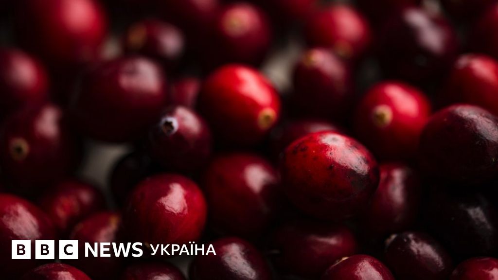 Цистон при цистите инструкция по применению дозировка отзывы