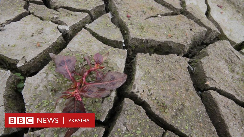 Курсовая работа: Водосховища Днiпра