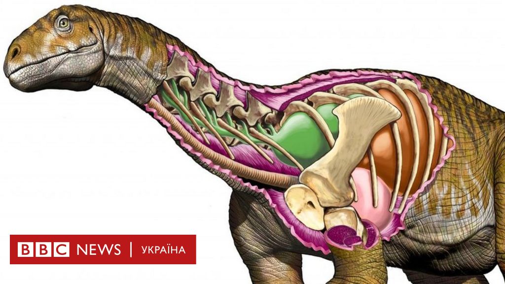 Порно видео динозавры секс ххх в 3d