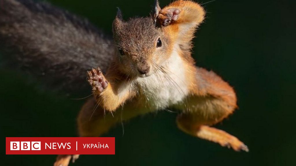 Fotograf Vitrativ Rik Shob Zrobiti Idealne Foto Bilok Bbc News Ukrayina