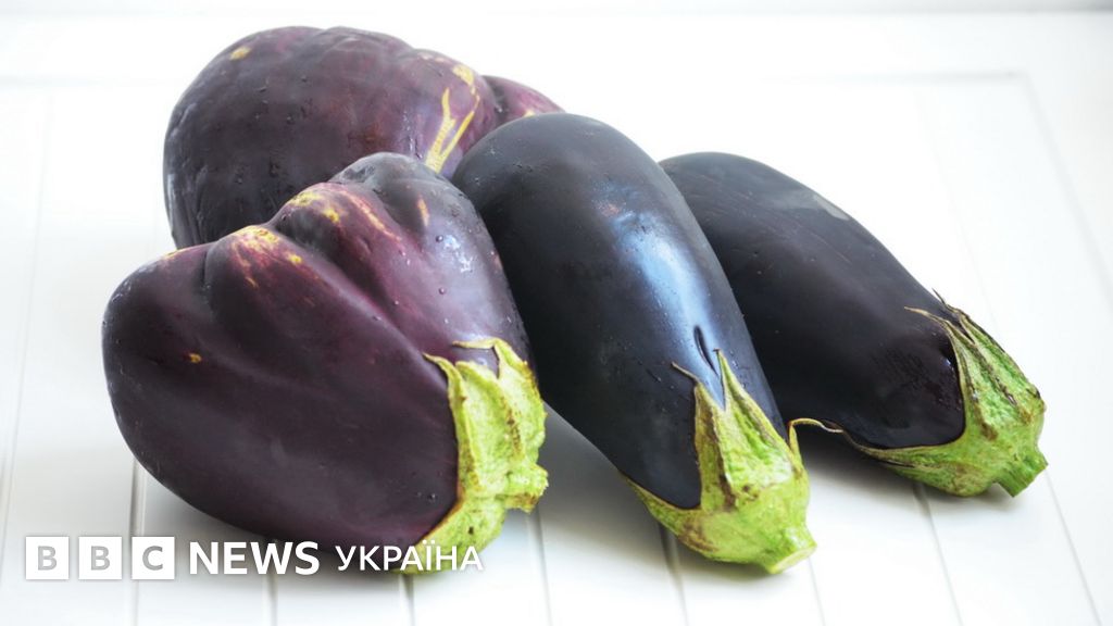 "Король овочів" баклажан і три страви з нього - BBC News Україна