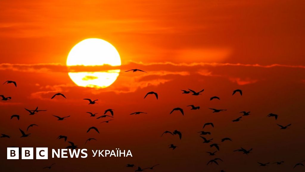 Озоновий шар Землі відновлюється. В ООН назвали дати, коли це станеться ...