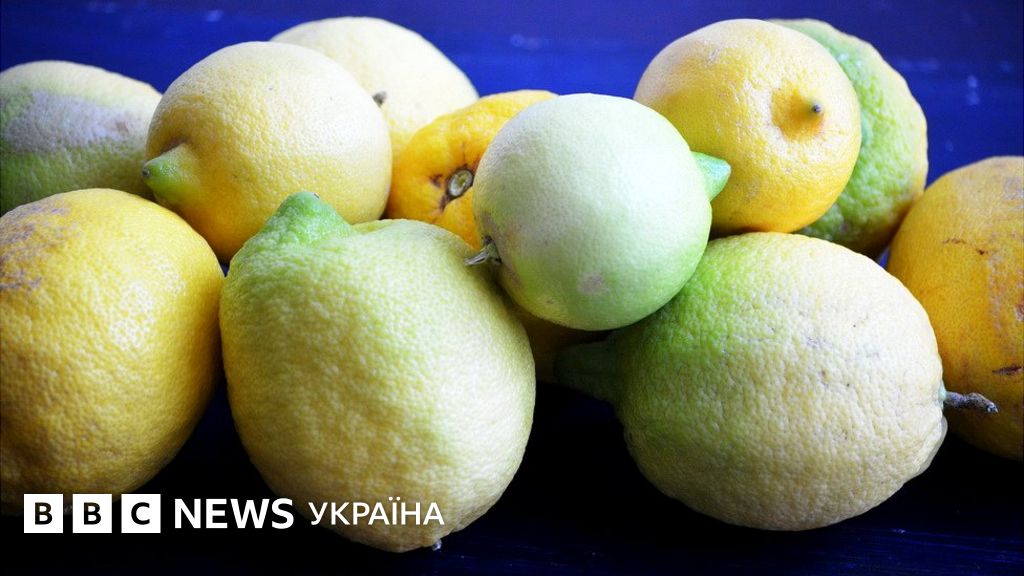 Десерт і не тільки: що можна приготувати з лимона - BBC News Україна