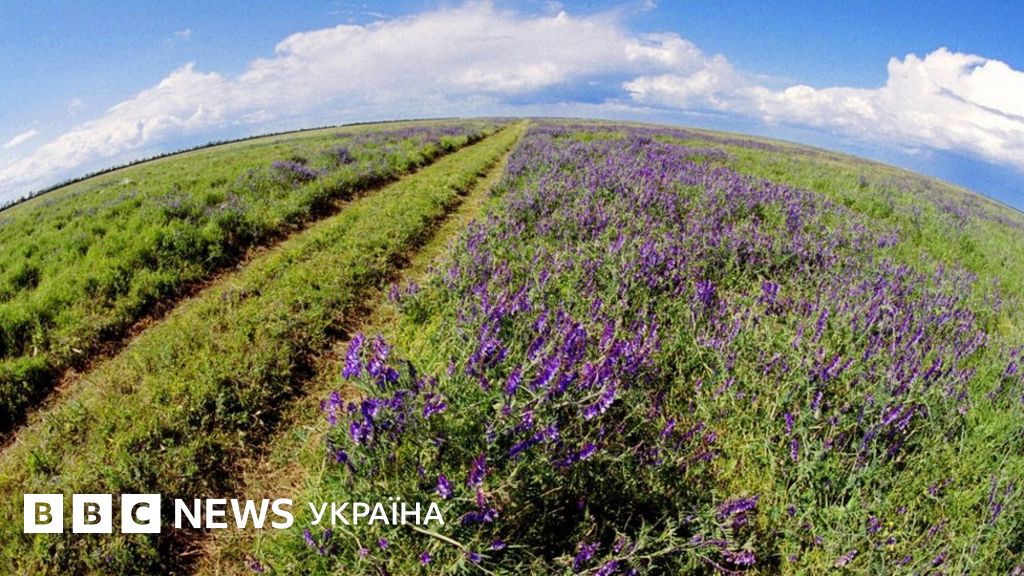 Розорана земля Херсонщини. Як родючі ґрунти перетворюються на пустелю ...
