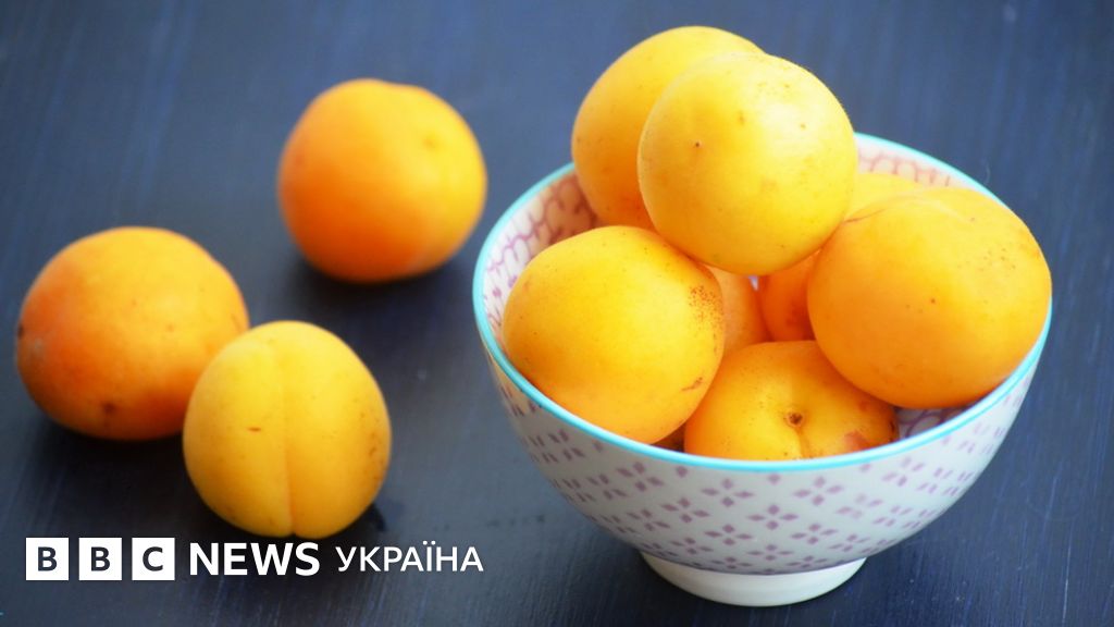 Кулінарний блог: сонячні абрикоси і що з них приготувати - BBC News Україна