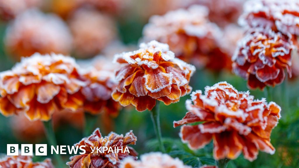 В Україну сунуть заморозки. Прогнозують 2