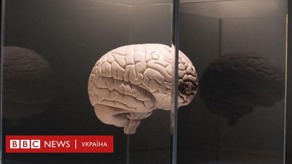 Ученые выяснили, как острые специи влияют на мозг