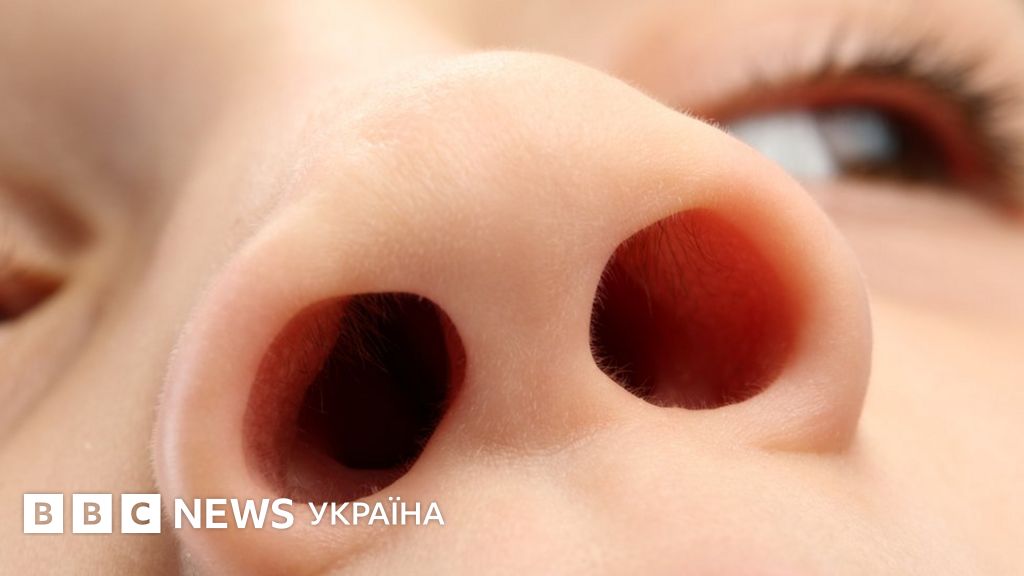 Дитячий ніс може "розказати" про серйозні інфекції легенів - BBC News ...