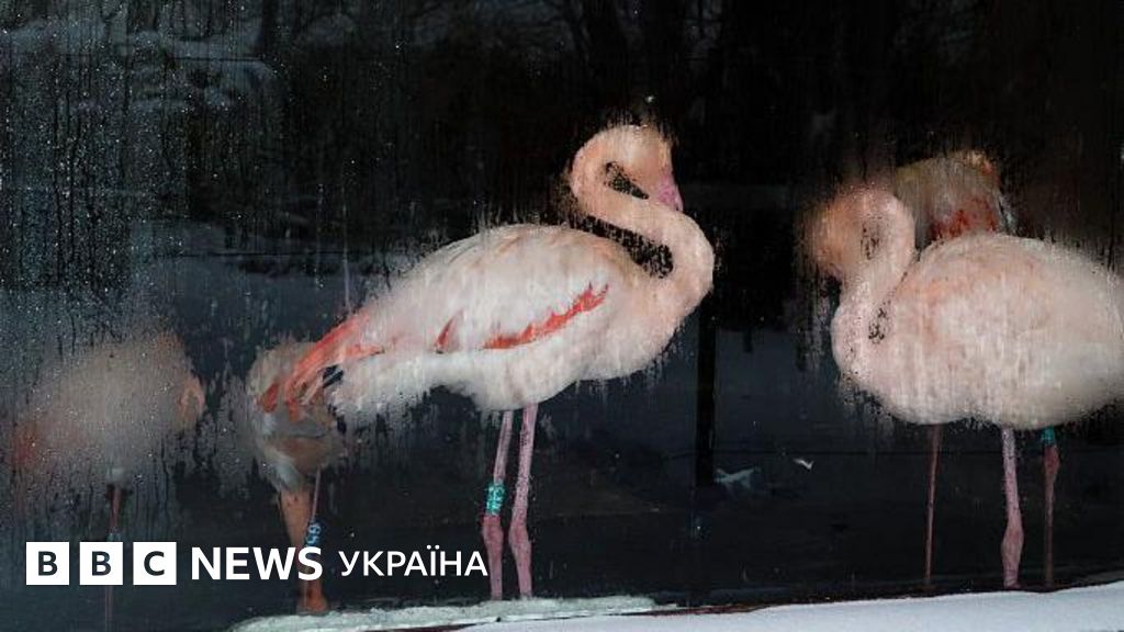 Останній день лютого морозу в Україні. Коли вже прийде потепління