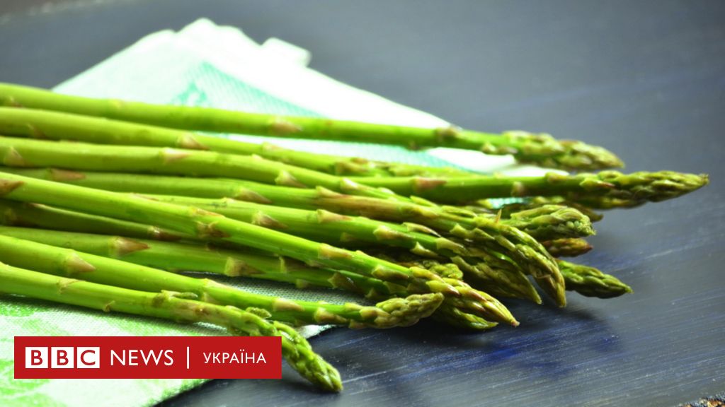 Yak Pravilno Yisti Sparzhu Tri Recepti Bbc News Ukrayina