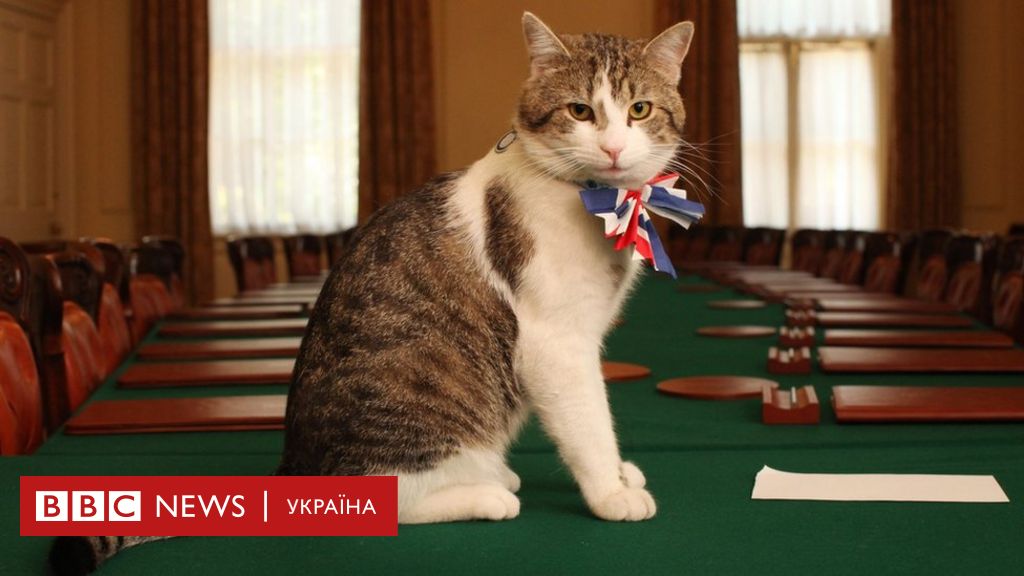 Pershe Zavdannya Prem Yera Britaniyi Podruzhitisya Z Kotom Larri Bbc News Ukrayina