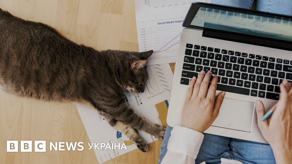 У Нідерландах готують революційні зміни трудового законодавства - BBC ...
