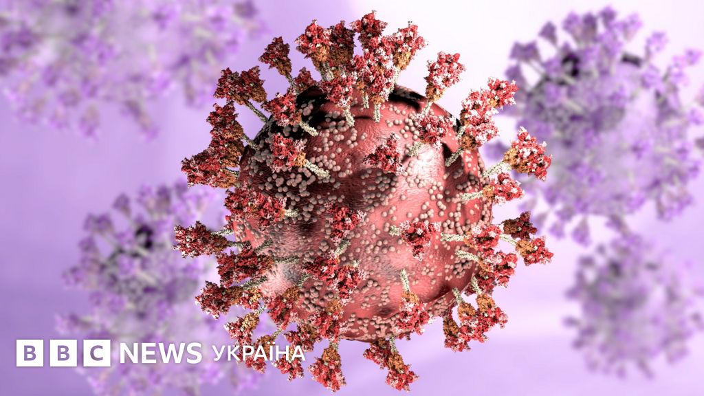 Омікрон. Все, що наразі відомо - BBC News Україна