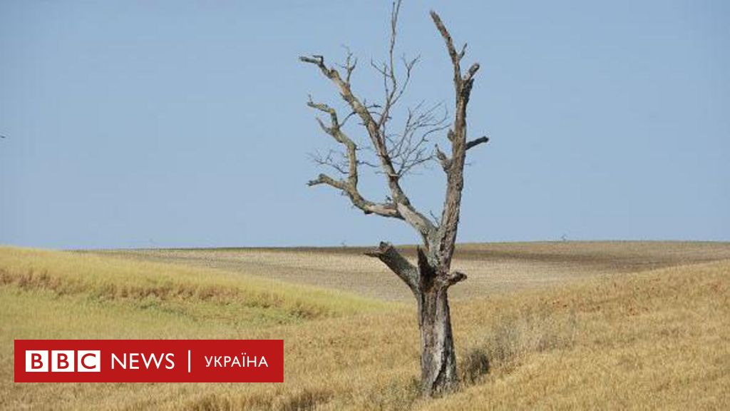 Посуха в Україні стає лихом. Що чекати влітку  - BBC News Україна