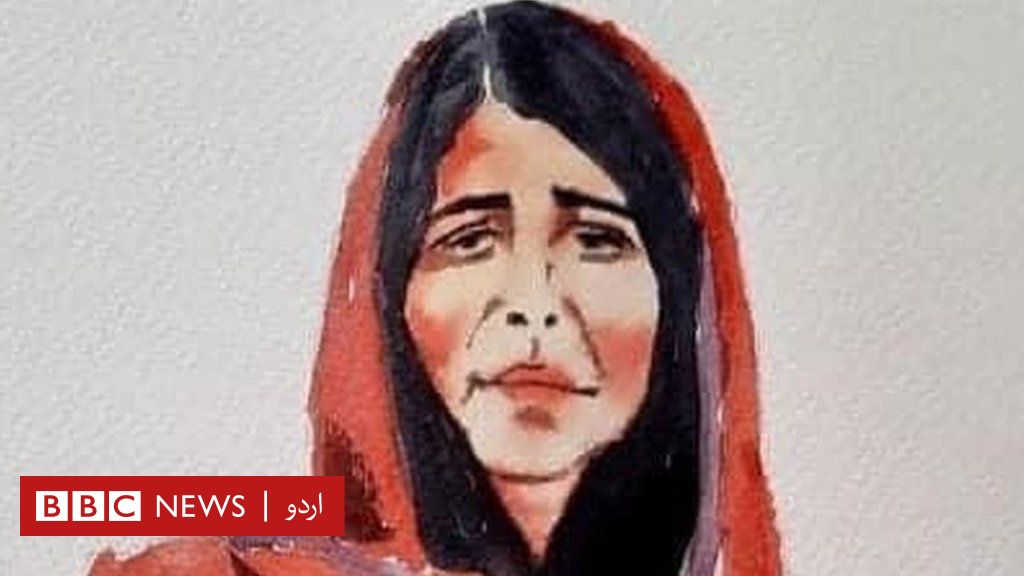 سلسلہ علی خیل پاکستان میں مبینہ اغوا کا نشانہ بننے والی افغان سفیر کی بیٹی کا پہلا ویڈیو بیان
