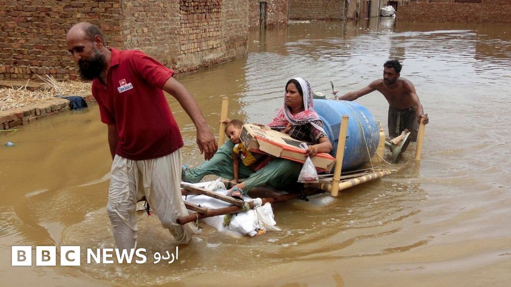 گذشتہ ہفتے کا پاکستان - BBC News اردو