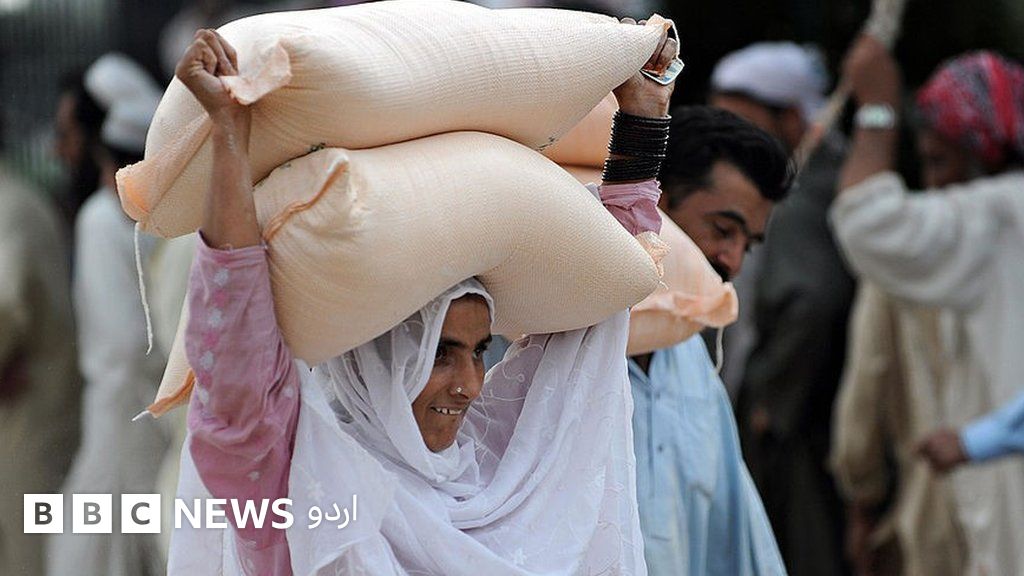 اسلام آباد میں کسانوں کا احتجاج: کیا گندم کی امدادی قیمت میں اضافہ ملک ...