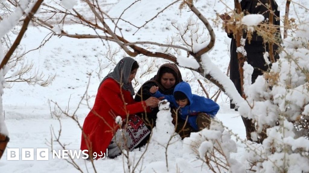 گذشتہ ہفتے کا پاکستان تصاویر میں - BBC News اردو