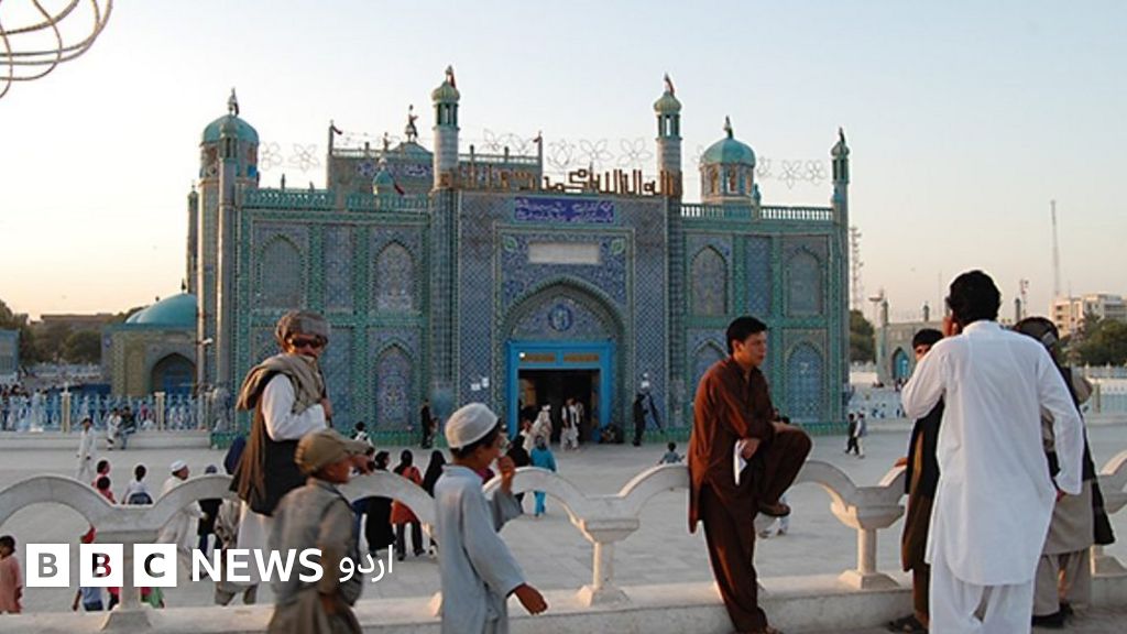 باجوڑ سے بلخ تک: بی بی سی اردو کی خصوصی فلم - BBC News اردو
