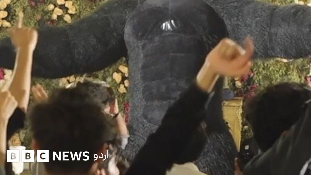 پاکستان میں مقبول ہوتا ڈانسنگ گوریلا ٹرینڈ
