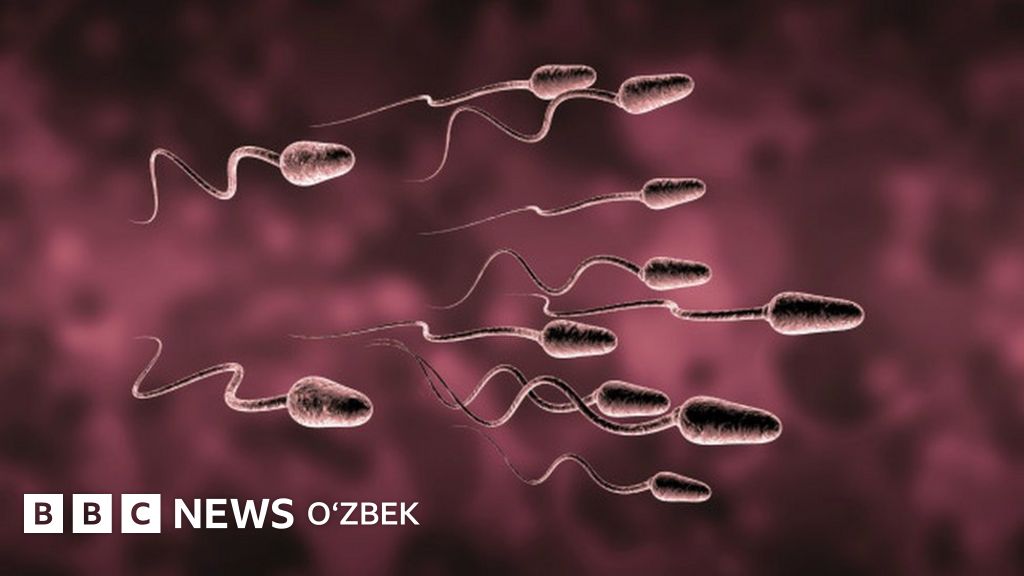 Анфиса Чехова порно видео