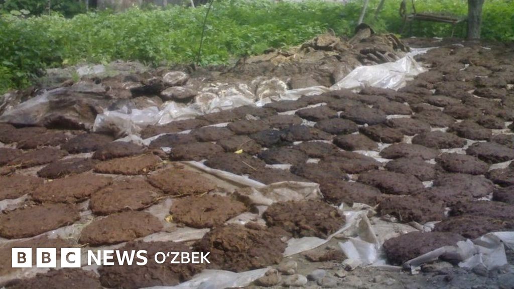 Barcha rus porno uy vazifasi Kotib striptiz video