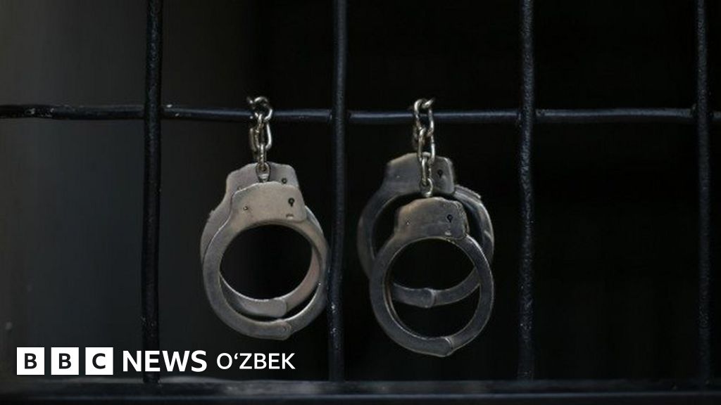 Quloqlari uchib yuradigan mushuk