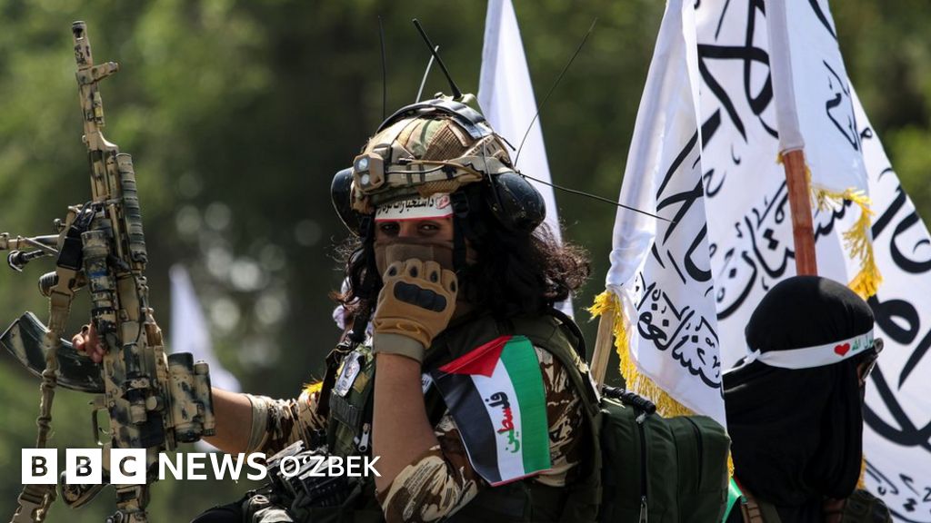 Azo 12,5 santimetr Porno ommaviy effekti